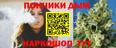 прущие грибы Будённовск
