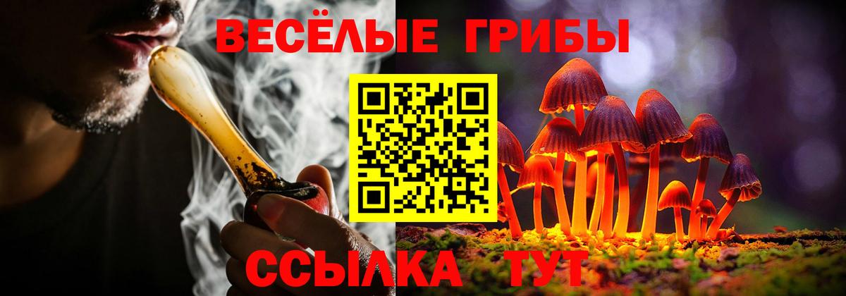 Псилоцибиновые грибы Psilocybine cubensis Валуйки